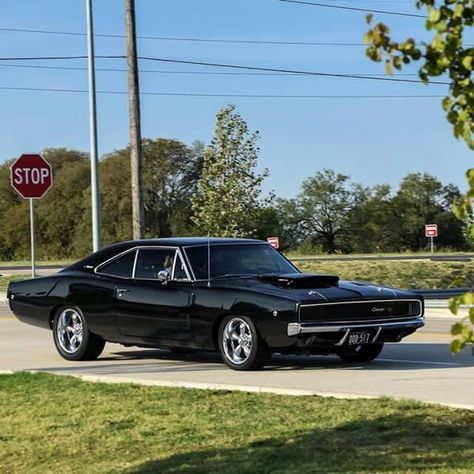 68 Charger R / T 440 six pack 1969 Dodge Challenger, 1968 Charger, 68 Charger, Car Bugatti, Pic Video, 1968 Dodge Charger, Plymouth Cars, 1969 Dodge Charger, Dodge Muscle Cars