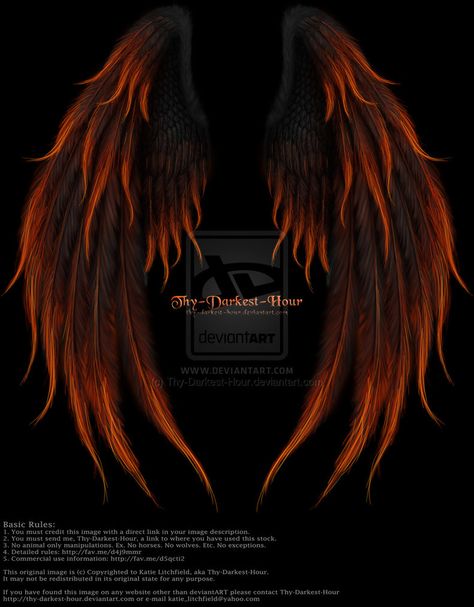 Phoenix Wings Tattoo Back, Red Dragon Painting, Phoenix Wings Tattoo, Wing Tattoos On Back, Phoenix Wings, Fire Png, Phoenix Fire, Fire Fairy, Angel Wings Art