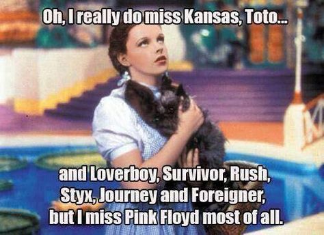 Oh, I really do miss Kansas, Toto ... and Loverboy, Survivor, Rush, Styx, Journey, and Foreigner, but I miss Pink Floyd most of all. 80s Rock Bands, Judy Garland, Funny Bunnies, Mötley Crüe, I Love Music, Music Humor, All Music, Wizard Of Oz, Led Zeppelin