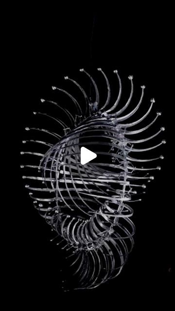 Kinetic Wind Art, Anthony Howe, Interactive Sculpture, Patterns Of Nature, Kinetic Art Sculpture, Wind Art, Fluid Dynamics, Wind Sculptures, Kinetic Art