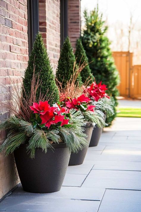 Christmas Planter Ideas, Holiday Planters, Winter Planters, Christmas Planter, Christmas Urns, Outdoor Christmas Planters, Christmas Topiary, Holiday Planter, Winter Planter