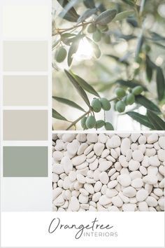 Couleur Feng Shui, Whole House Color Palette, Floor Steamer, Sage Green Paint Color, Paint Color Guide, Color Palette Living Room, Kitchen Mood Board, House Color Palettes, Perfect Paint Color