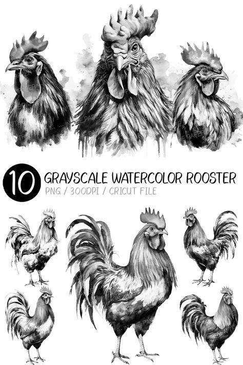 Hen Watercolor, Rooster Sketch, Rooster Clipart, Chicken Watercolor, Bird Sketches, Chicken Clip Art, Watercolor Chicken, Subtle Aesthetic, Chicken Clipart