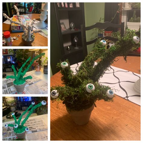 I made this for a Labyrinth masquerade ball themed surprise birthday party for my daughter. I cut up a couple wire hangers and stuck them into flower arrangement foam in the pot. Then I covered them with pre-mixed paper mache, painted them green so the white would t show through, and then glued on crafting moss. The process wasn’t a “clean” one, but I was really happy with the end result. 👁 Labyrinth Themed Birthday Party, Labyrinth Party Decorations, Labyrinth Birthday Party, Labyrinth Themed Party, Labyrinth Party Ideas, Labyrinth Masquerade Ball, Eyeball Plant, Labyrinth Party, Labyrinth Wedding