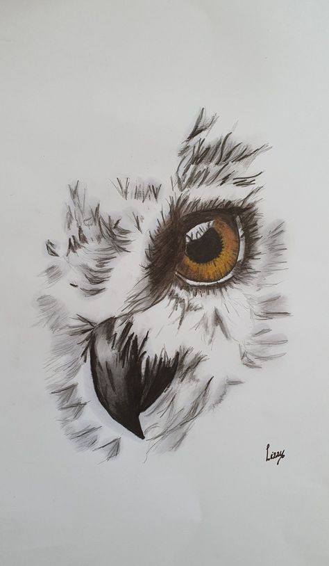 #OwlTattoo #CuteOwlTattoo #OwlInk #OwlTattooDesign #OwlTattooArt #InkedOwls #OwlTattooIdeas #OwlTattooLove #TattooInspiration #AnimalTattoos Animal Tattoo Drawings, Owl Face Drawing, Owl Tatoos, Cryptic Tattoos, Owl Eye Tattoo, Snow Owls, Owl Tattoo Drawings, Cute Owl Tattoo, Owl Sketch