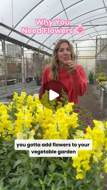 Nicole Johnsey Burke on Instagram: "Comment SYSTEM to get some of my favorite seeds for flowers in the vegetable garden.   The Gardenary Seed System includes seeds to grow: Calendula Nasturtium Sunflowers   My other favorite flowers for the kitchen garden include: Pansies Violas Snapdragons  Chamomile  Zinnias  Angelonia  Petunias  Marigolds   Flowers are a must when it comes to growing vegetables so be sure to add at least 2-3 types into your garden this spring.   Comment SYSTEM to get my favorite flowers included in the Gardenary Seed system that goes LIVE tomorrow.   Now I’m off to go plant some more flowers!" Viola Flower, Marigold Flower, Favorite Flowers, Pool Ideas, Kitchen Garden, Growing Vegetables, Petunias, Pansies, Vegetable Garden