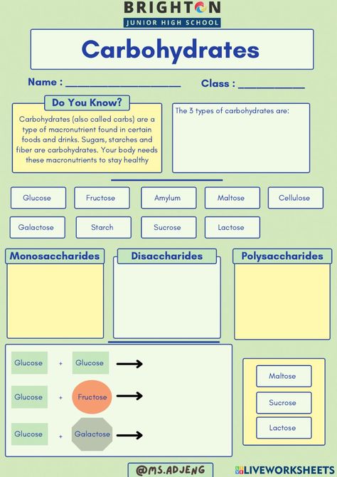 Carbohydrates Chart, Protein Chart, Sources Of Carbohydrates, Family And Consumer Science, Energy Foods, Food Test, School Posters, Nutrition Education, Junior High School