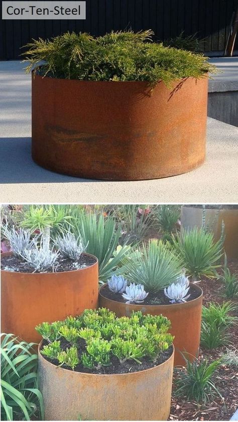 Corten steel round planters, 100's of sizes Round Corten Steel Planters, Corten Garden, Palm Springs Garden, Round Planters, Hills Landscape, Plant Rings, Courtyard Landscaping, Coastal Garden, Metal Flower Pots