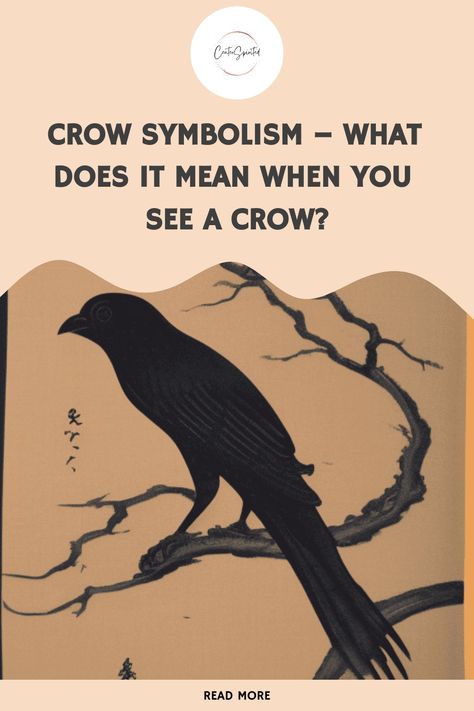 When you see a crow, what does it mean? This question has been asked for centuries, as crows have always held a special place in mythology and folklore. These black birds are often seen as harbingers of bad news or danger, but they can also be viewed as symbols of intelligence and transformation. In this blog post, we will explore the meanings behind crow symbolism and discuss why these birds have captured our imaginations for so long. Crow Symbolism Meaning, Crow Symbolism, Crow Meaning, Crow Spirit Animal, A Crow, Black Birds, Celtic Culture, Animal Symbolism, Black Crow