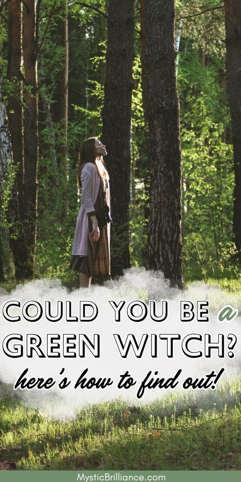 Picture of woman standing in forest with face turned up toward the sun with text overlay Could You Be a Green Witch? Here's How to Find Out! Green Witchery, Plants Crystals, Green Witch Aesthetic, The Green Witch, Nature Witch, Witch Signs, Green Witchcraft, Witchcraft Books, Witch Spell