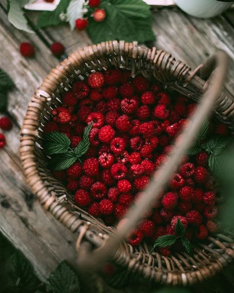 Berries Photography, Winter Fruit, Raspberry Recipes, Berry Pie, Types Of Fruit, Fruit Wallpaper, Food Displays, Red Food, Red Fruit