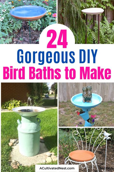 Modern Bird Baths, Rustic Bird Baths, Bird Baths Homemade, Hanging Bird Bath, Birdhouse Projects, Solar Bird Bath, Bird Bath Bowl, Bird Fountain, Concrete Bird Bath