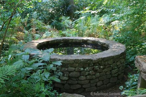 Love this basin. Possible to recreate by surrounding stock tank with stacked stone? Woodland Homestead, Mystical Crafts, Apartment Homestead, Raised Pond, Forest Vibes, Small Pond, Garden Diary, Pond Ideas, Water Gardens