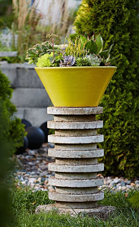 Plant Pedestal, Pretty Plant, Container Garden Design, Diy Plant Stand, Concrete Pavers, Garden Containers, Container Gardens, Garden Yard Ideas, Plant Combinations