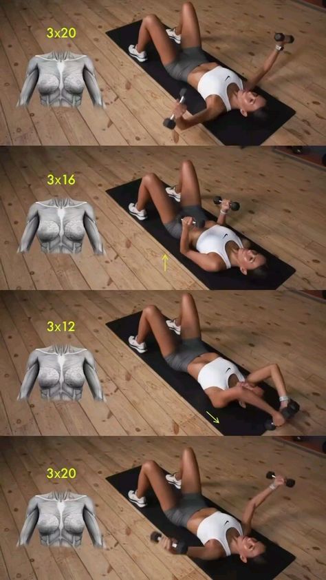 Breast Workout, Trening Fitness, Canada Toronto, Workout Without Gym, Workout Plan Gym, Beginner Workout, Weight Workout Plan, Trening Abs, Chest Workout