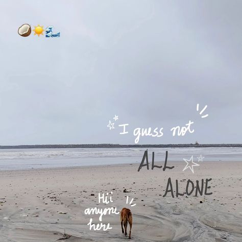 Is this the place I belong to?? . . . #beach #beachaesthetic #alibag Beach Quotes, Sunset Quotes, All Alone, Beach Aesthetic, Beach Waves, Beach Photography, Life Quotes, Pins