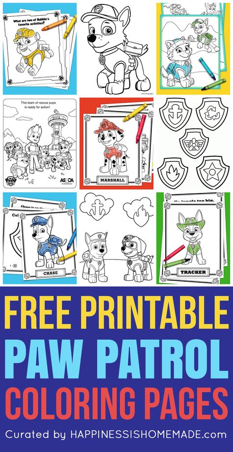 Sky Paw Patrol, Imprimibles Paw Patrol, Paw Patrol Printables, Spongebob Coloring, Paw Patrol Birthday Theme, Thanksgiving Coloring, Paw Patrol Coloring, Paw Patrol Coloring Pages, Summer Coloring Pages