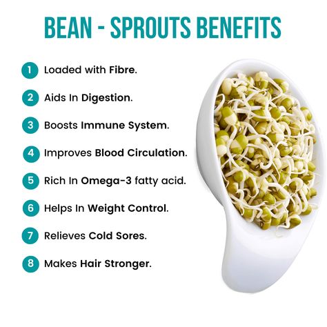 #lesfrimeurs #doctorsays #motivation #healthy #gym #fitfam #nutrition #delicious #healthyeating #foodie #weightloss #healthyliving #fitnessmotivation #instafood #wellness #workout #fitness #healthylifestyle #healthyfood #diet #bodybuilding #exercise #training Bean Sprouts Benefits, Sprouts Benefits, Health Benefits Of Beans, Clean Eating Guide, Vitamin A Foods, Vegan Protein Sources, Health Facts Food, Food Health Benefits, Vegan Nutrition