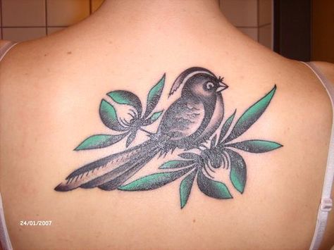 Bayside bird Bayside Tattoo, Bird Tattoo, Birds Tattoo, Art Ink, Body Mods, Tattoos And Piercings, Watercolor Tattoo, Flower Tattoo, Tatting