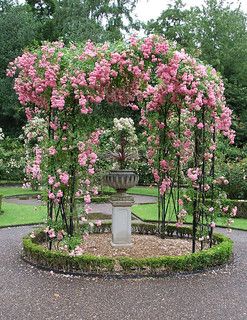 Rose Gazebo | First off this is not one of my photos its in … | Flickr Rose Garden Design Ideas, Black Pergola, Rose Garden Landscape, Rose Garden Design, Cheap Pergola, Pergola Ideas, European Garden, Garden Design Ideas, Creative Gardening