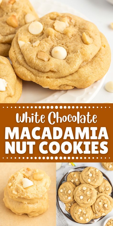 The Best White Chocolate Macadamia Nut Cookies have the perfect balance of chewiness and crunchiness, with chunks of creamy white chocolate and macadamia nuts in every bite. A salty-sweet cookie treat! Thick Macadamia Nut Cookies, Crumble White Chocolate Macadamia Nut Cookies, Pioneer Woman White Chocolate Macadamia Cookies, White Chocolate Macadamia Nut Cookies Gf, White Chocolate Chip Macadamia Nut Cookies Recipe, Homemade Macadamia Nut Cookies, Easy Macadamia Nut Cookies, Macadamia Nut Cookies Recipe Easy, White Macadamia Nut Cookies