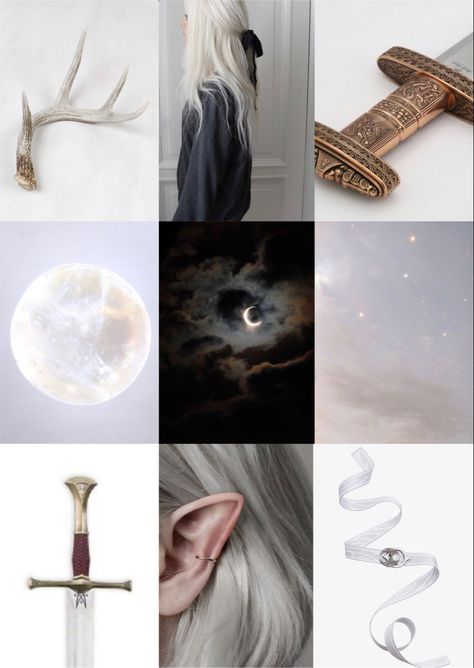 Rayla Dragon Prince Aesthetic, Dragon Prince Aesthetic, Rayla Tdp Aesthetic, Tdp Oc, The Dragon Prince Aesthetic, The Dragon Prince Wallpaper, Rayla Dragon Prince, Half Drow, Prince Dragon