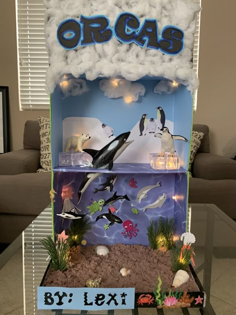 Under The Sea Habitat Project, Marine Diorama Project, Ocean Habitat Project For Kids Shoebox, Orca Diorama School Projects, Ocean Model Project, Dolphin Diorama Projects For Kids, Ocean Diaroma School Projects, Shark Diorama School Projects, Artic Biome Project