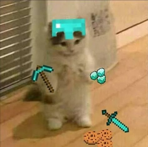 #kedi #pp # minecraft #yavrukedi #kediler #yavrukediler #oyun #savasci #minecrafts #oyuncukedi #profilphotos #profil #walpapers # komik Gaming Cat Pfp, Anime Kitten, Ugly Cat, Cat Skin, Cat Profile, Cat Cosplay, Minecraft Anime, Minecraft Mobs, Cat Pfp