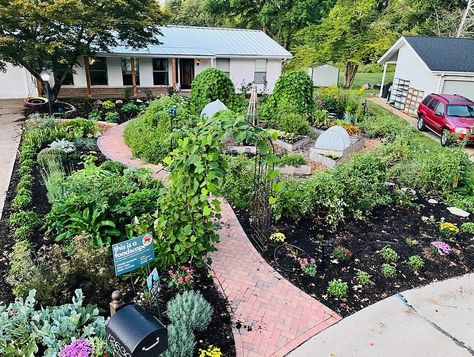 Front Yard Forest, Edible Landscaping Front Yard, Raised Bed Garden Design, Growing Fruit Trees, Modern Farmer, Edible Landscaping, Food Forest, Front Yard Garden, Food Garden