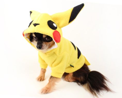 Perro disfraz pikachu perro traje Halloween por PetitDogApparel Pikachu Dog Costume, Pikachu Outfit, Pokemon Dog, Hood Boy, Halloween Pokemon, Small Dog Costumes, Pikachu Costume, Outfit For Halloween, Pikachu Pikachu