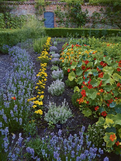 Herbs, fruit, vegetables and honey are just some of the treasures that are being grown and harvested within the Victorian walls of the kitchen garden at Brent Eleigh Hall in Suffolk. Photography by Allan Pollok-Morris. Victorian Kitchen Garden, Edible Flower Garden, Victorian Cottage, Veg Garden, Backyard Farming, Tea Garden, Chicken Farm, Kitchen Garden, Horse Farms