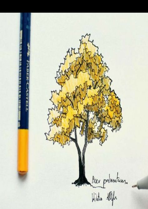 Fast Sketch, Funny Vine, Landscape Design Drawings, Tree Sketches, Landscape Sketch, Landscape Designer, Landscape Design Plans, Landscape Paintings Acrylic, Landscape Architecture Design