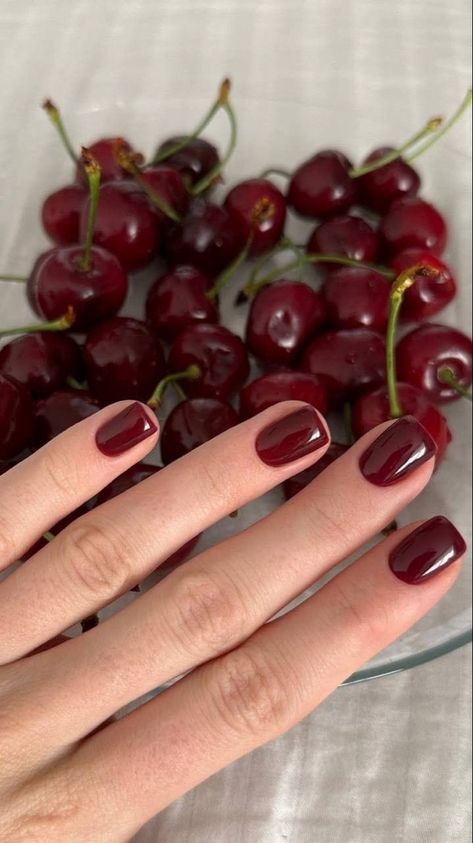 Fall Nail Colors Natural Nails, Short Natural Nails Gel Polish, Nail Inspiration Holiday, Cherry Red Gel Nails, Gel Nail Inspiration Short, Christmas Nails Short Red, Brown Red Nails, Gel Red Nails, Red Natural Nails