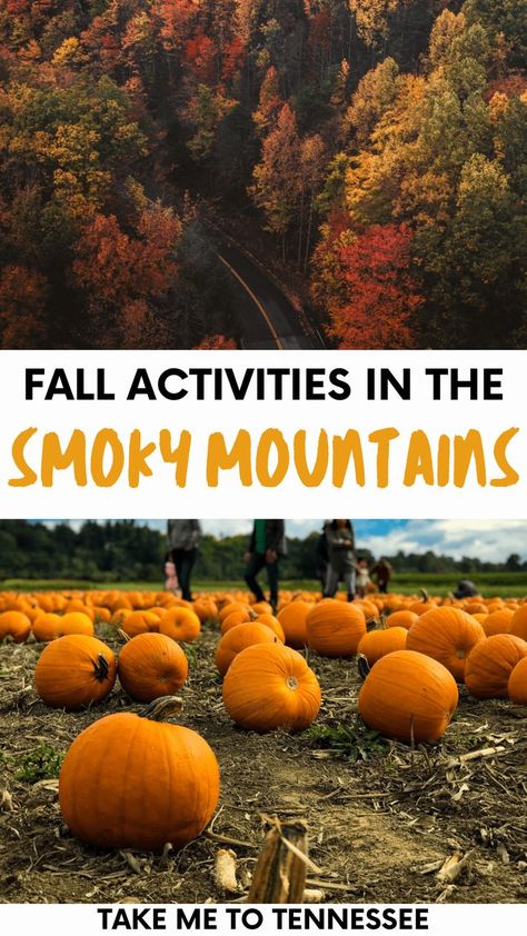 Fall In The Smoky Mountains, Fall In East Tennessee, Smoky Mountains Fall, Fall Tennessee, Gatlinburg Fall, Fall Foliage Road Trips, Smokey Mountains National Park, Tennessee Road Trip, Mountains Tennessee