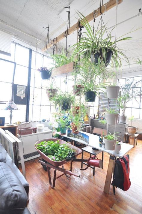 Carlos’ Custom DIY Loft Indoor Garden Apartment, Lots Of Plants, Hanging Bedroom, Deco Nature, Interior Minimalista, Indoor Gardens, Bedroom Plants, Loft House, Small Outdoor Spaces