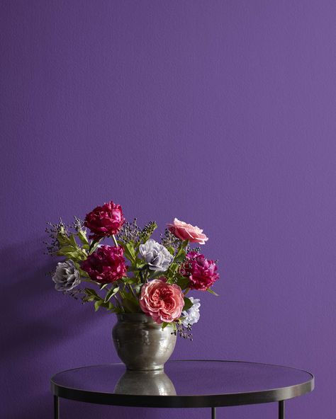 Benjamin Moore Purples, Benjamin Moore Lily Lavender, Lily Lavender Benjamin Moore, Benjamin Moore Lavender, Lavender Wall Paint, Benjamin Moore Shadow, Benjamin Moore Purple, Lilac Walls, Bathroom Moodboard