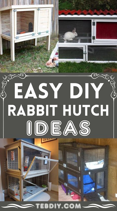 15 Functional And EASY DIY Rabbit Hutch Ideas Simple Rabbit Hutch, Bunny House Indoor Diy, Outside Bunny Enclosure, Meat Rabbits Housing, Outdoor Rabbit Enclosure Diy, Guinea Pig House Diy, Diy Rabbit Hutch Indoor, Rabbit Indoor House Ideas, Outdoor Bunny Habitat