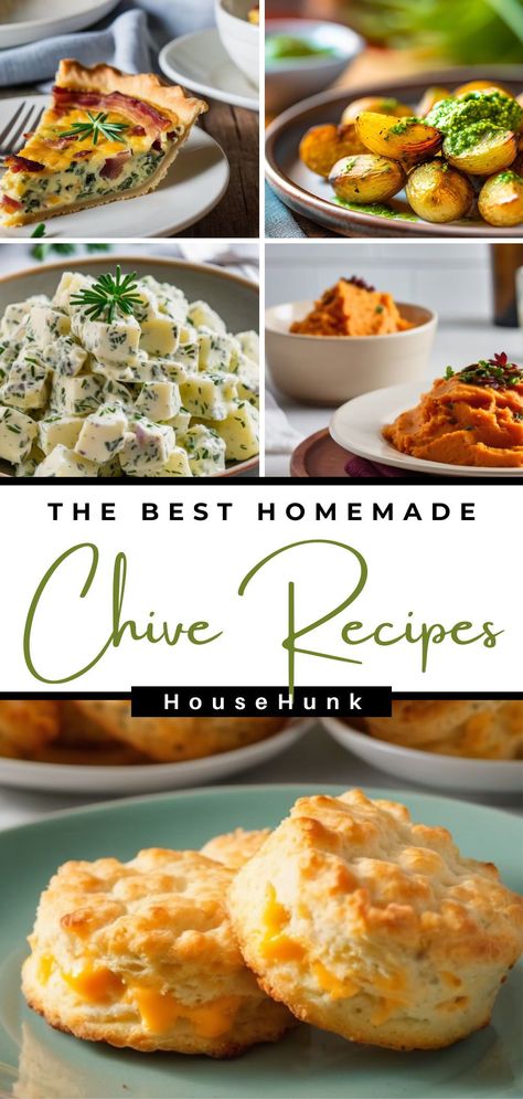 Explore the world of chives with our collection of 29 mouthwatering recipes. From spiced tofu stir-fry to chive and parsley pesto, each dish showcases the versatility and flavor of this humble herb. Whether you're a seasoned chef or a home cook, these recipes will inspire you to make chives a star ingredient in your kitchen. Grow your own and get ready to create delicious, vibrant meals! Cheveche Recipe, What To Do With Fresh Chives, Recipes Using Fresh Chives, What To Do With Chives, Recipes Using Chives, Cooking With Herbs Recipes, Chive Recipes Simple, Garlic Chives Recipes, Recipes With Chives