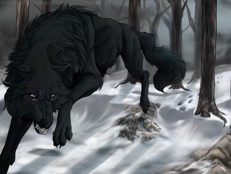 Wolf’s Rain, Shadow Wolf, Wolf Sketch, Canine Drawing, Fantasy Wolf, Werewolf Art, Wolf Love, Canine Art, Wolf Drawing