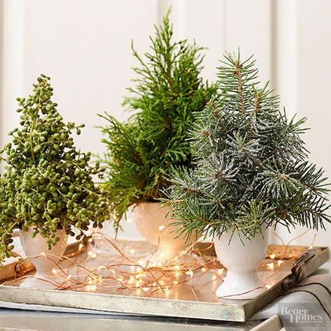 Make miniature Christmas trees with leftover evergreen cuttings Natal Natural, Tree Centerpieces, Christmas Centerpieces Diy, Holiday Table Settings, Christmas Gathering, Small Christmas Trees, Christmas Arrangements, Minimalist Christmas, Easy Christmas Diy