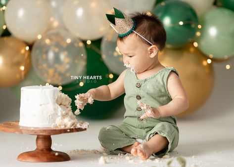 Cake Smash Photography | St. Cloud Photo Studio Baby Boy Smash Cake Ideas, Boy Smash Cake Pictures, First Birthday Studio Photos, First Birthday Photo Shoot Ideas Boy, First Birthday Boy Photoshoot, Cakesmash Boy, Green Cake Smash, Boy Smash Cake, Cake Smash Boy