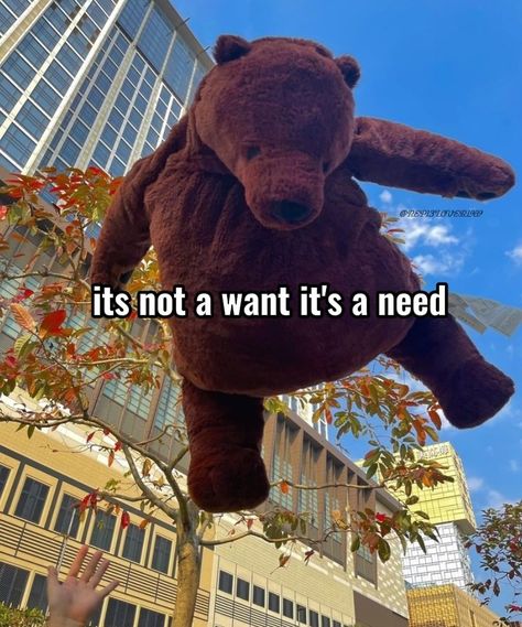 #djungelskog Love Bear, Cute Stuffed Animals, Cute Plush, Really Funny, Funny Pictures, Give It To Me, Cute Animals, Teddy Bear, Memes