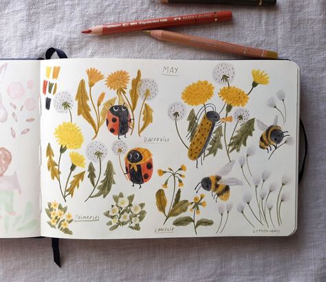 Book Illustration Art, Sketchbook Art Journal, Sketchbook Pages, Sketchbook Journaling, Sketchbook Inspiration, Now And Then, Art Journal Inspiration, Children's Book Illustration, Botanical Illustration