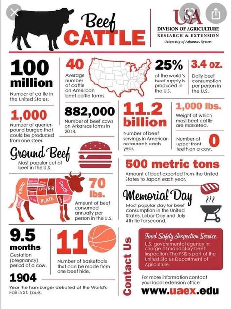 4h Beef Poster Ideas, Agriculture Education Lessons, Agriculture Facts, Agriculture Classroom, Ag Science, Livestock Judging, Ag Education, 4 H Club, Ag Teacher