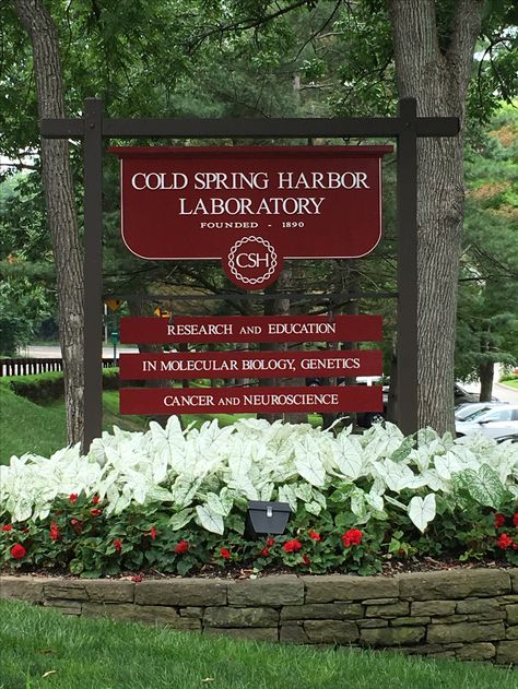 Cold Spring Harbor Laboratory Cold Spring Harbor, Vintage Pics, Cold Spring, Big Apple, North Shore, Long Island, Lab, Outdoor Decor