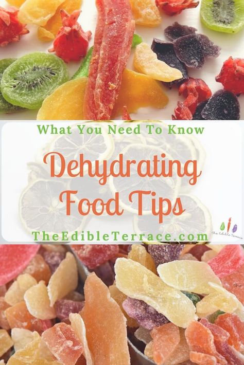 Dehydrating fruit and veggies is one of the oldest food preservation techniques out there. The idea is to preserve your produce by removing as much of the moisture or water content as possible. You can do this in your oven or with a dehydrator. Dehydrating Fruit, Dehydrator Recipes Fruit, Best Food Dehydrator, Dehydrating Food Storage, Food Dehydration, Dehydrating Food, Dehydrated Vegetables, Canning Food Preservation, Fruit And Veggies