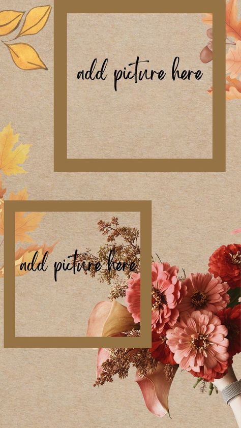 #vintage#instagram#stories#2photos#flower#templates Vintage Instagram Story Template, Collage Photo Frame Design, Vintage Instagram, Instagram Photo Frame, Photo Frame Design, Instagram Frame Template, Template Instagram, Instagram Frame, Flower Template