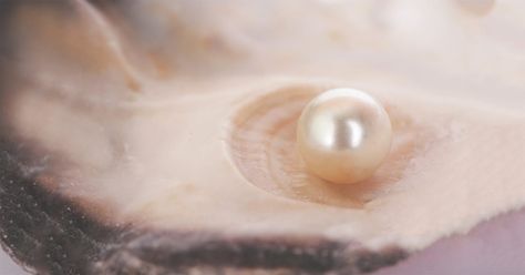 The Health Benefits of Pearl Powder: Superfood From the Sea Pearl Powder Benefits, Crystal Wedding Dress, Dna Repair, Single Pearl, Pearl Powder, Dinner Recipes For Kids, Mindful Eating, Oyster Shell, Healthy Dinner Recipes Easy