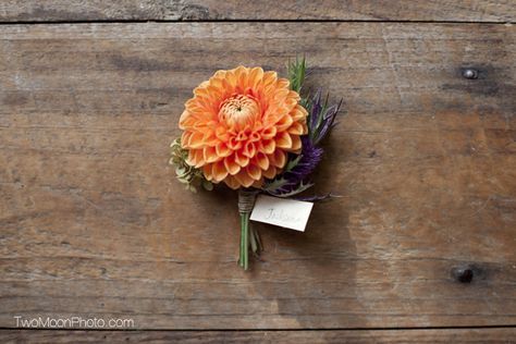 Robin Hollow Farm Boutonniere Dahlia Boutonniere, Simple Floral Centerpieces, Orange Boutonniere, Orange Dahlia, Slow Flower, Farm Flowers, Dahlias Wedding, Wedding Boutonnieres, Bright Wedding Flowers