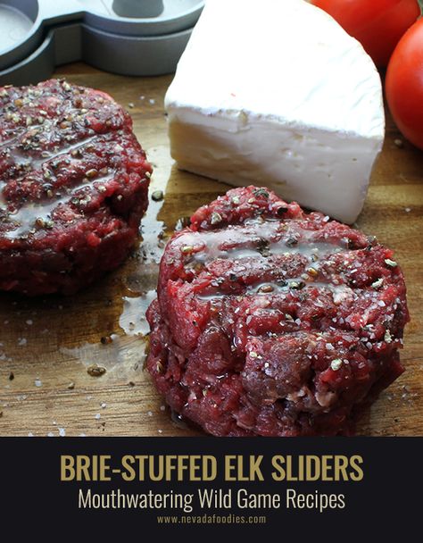 Elk Sliders, Elk Burgers, Venison Meals, Venison Dishes, Elk Meat Recipes, Hunting Recipes, Hunting Food, Moose Recipes, Garlic Mayonnaise